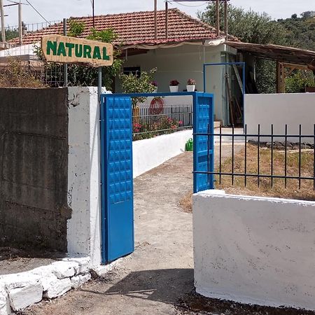 Natural Hostel Χειμάρρα Εξωτερικό φωτογραφία