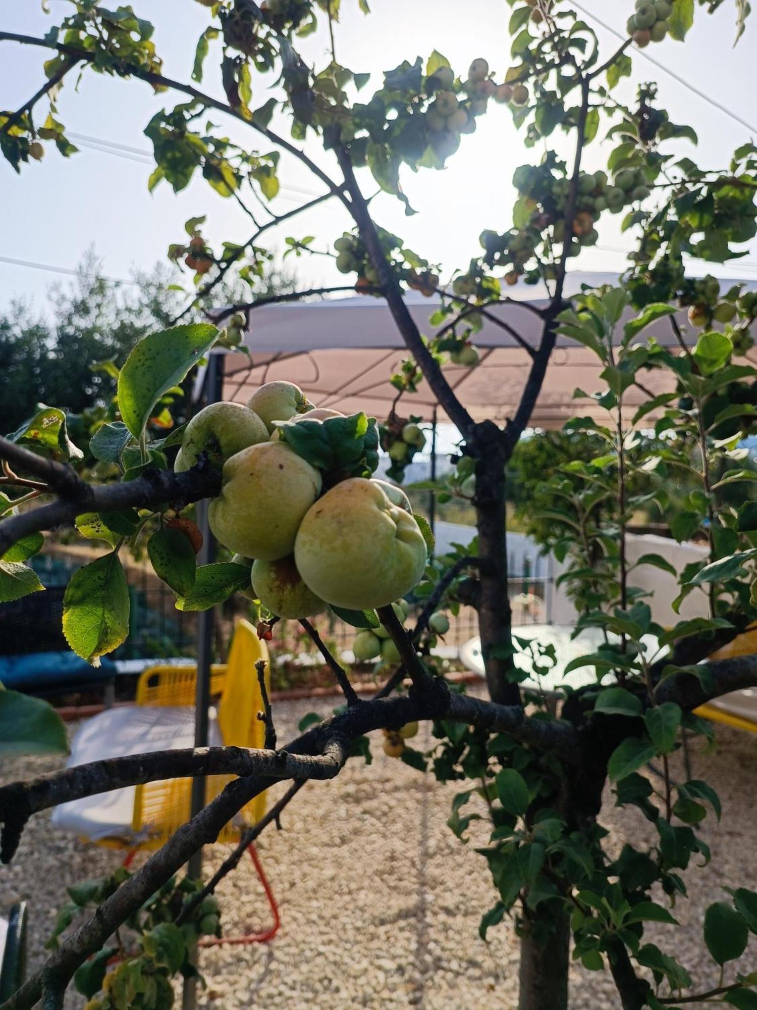 Natural Hostel Χειμάρρα Εξωτερικό φωτογραφία