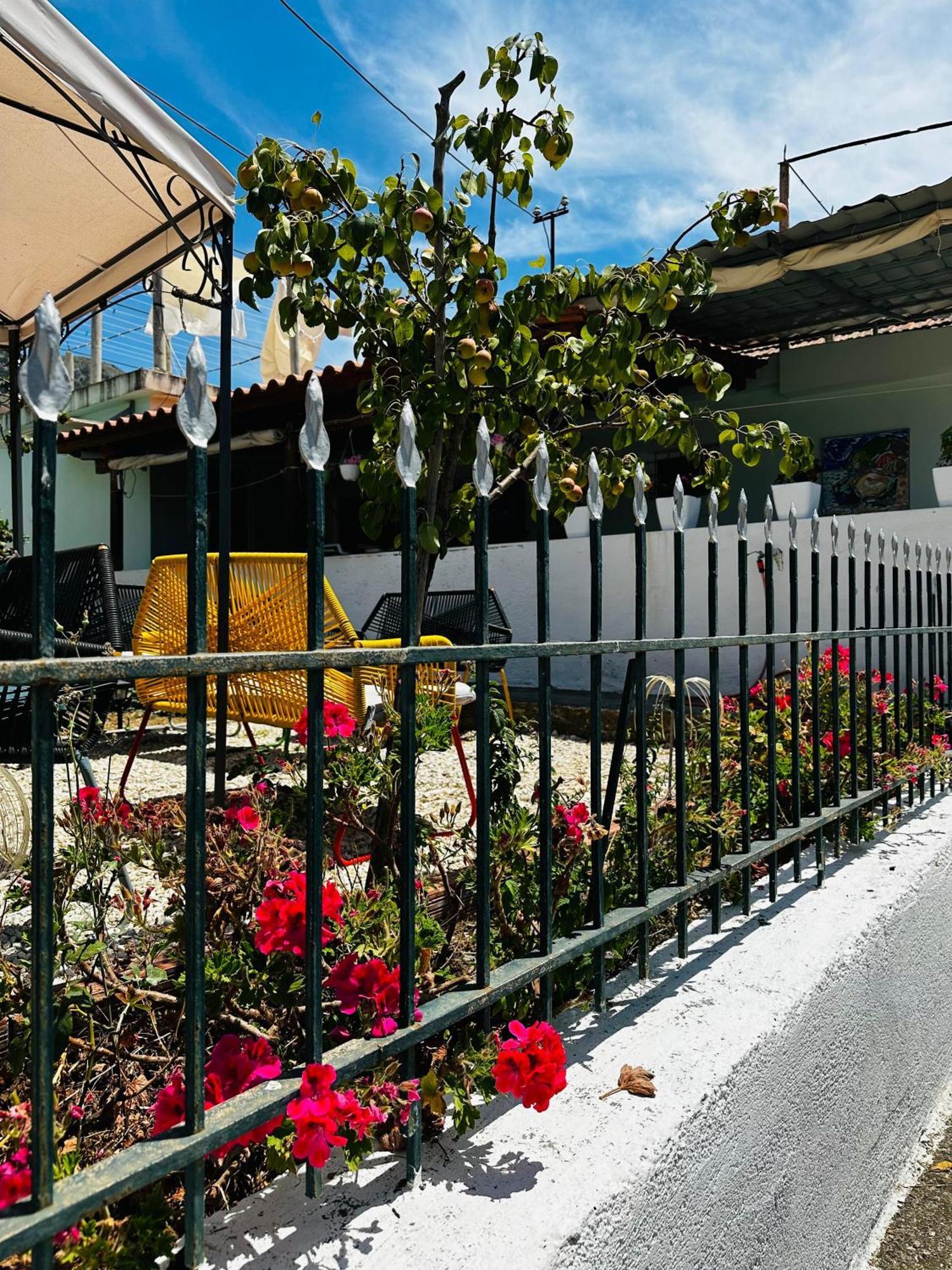 Natural Hostel Χειμάρρα Εξωτερικό φωτογραφία