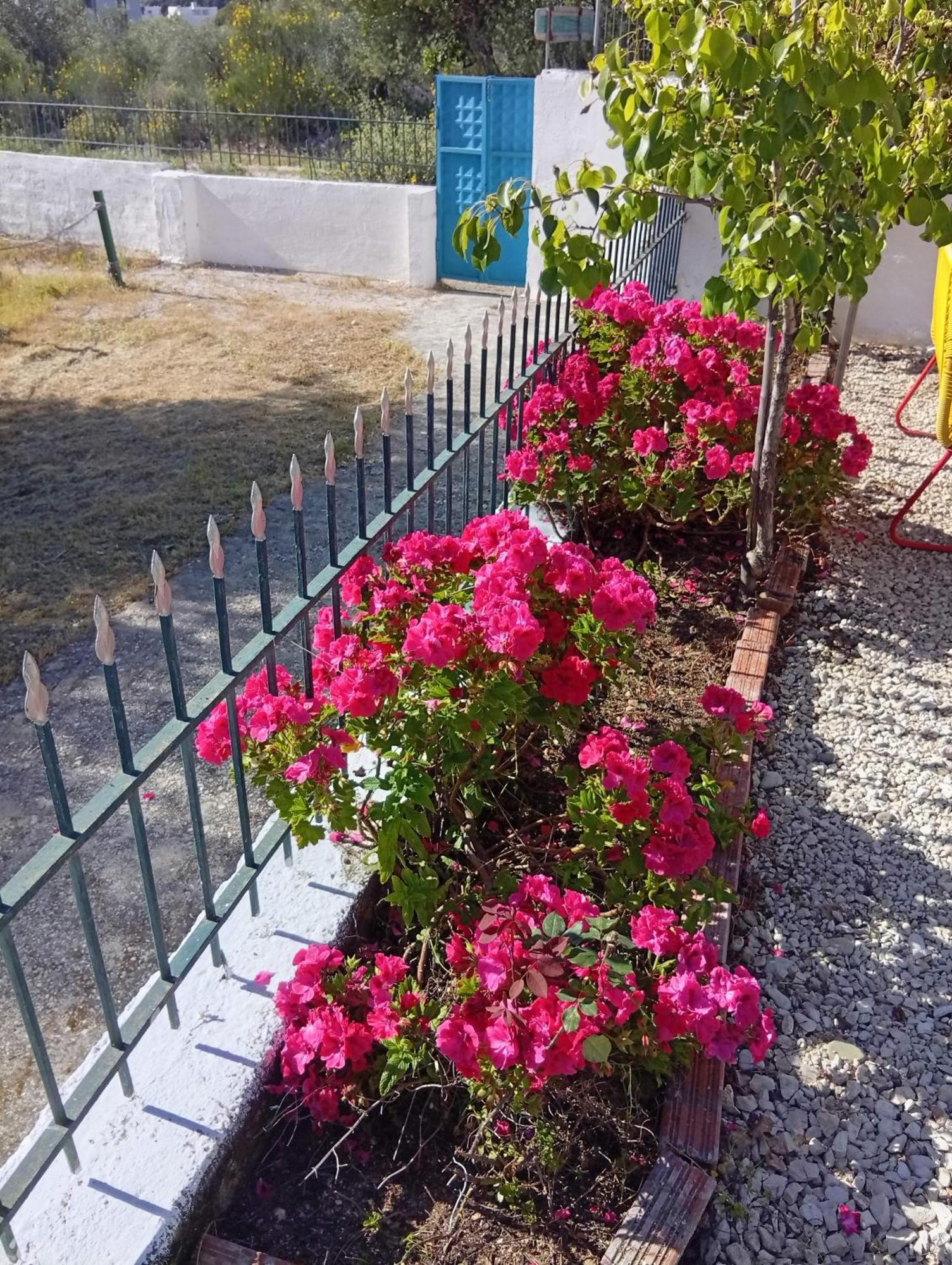 Natural Hostel Χειμάρρα Εξωτερικό φωτογραφία